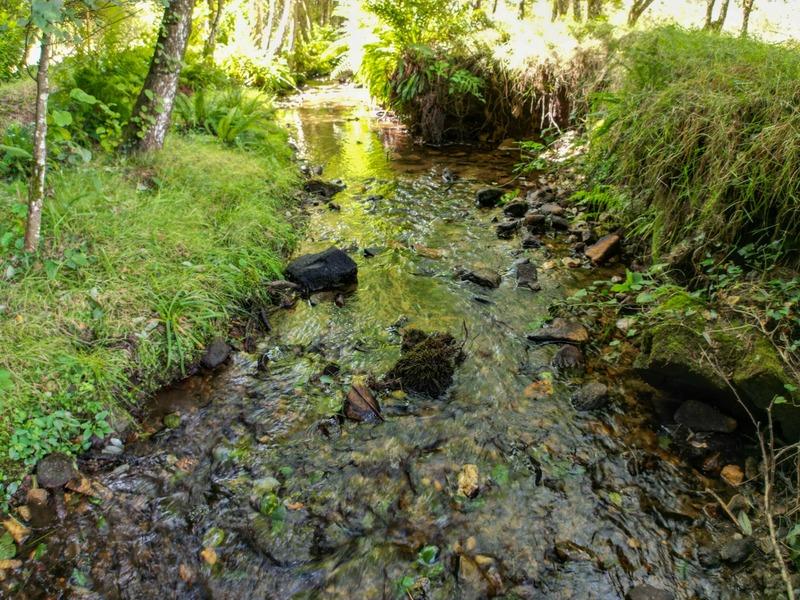 Corps de ferme - 199 m² - 6 pièces