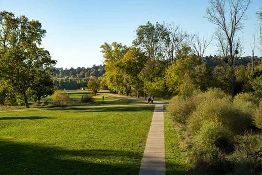 Appartement - 107 m² - 5 pièces