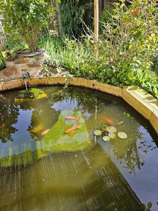 Maison - 113 m² - 5 pièces