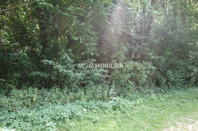 Terrain de loisirs - 2 980 m²