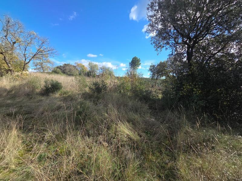 Terrain constructible - 1 781 m²