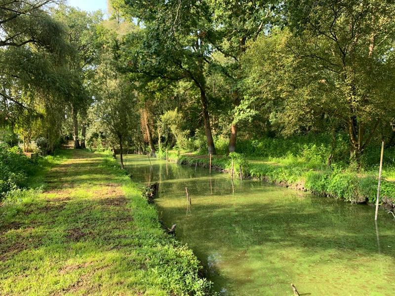 Maison - 30 m² - 2 pièces