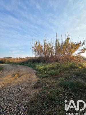 Terrain agricole - 11 946 m²