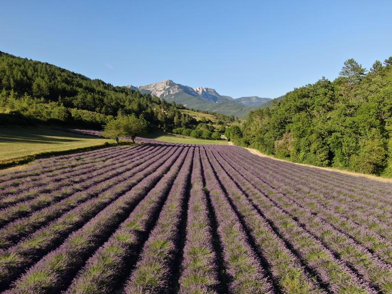 Distillerie des 4 Vallées