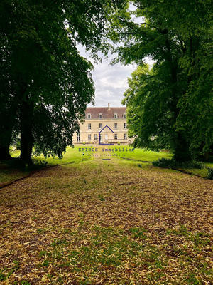 Manoir - 600 m² - 15 pièces