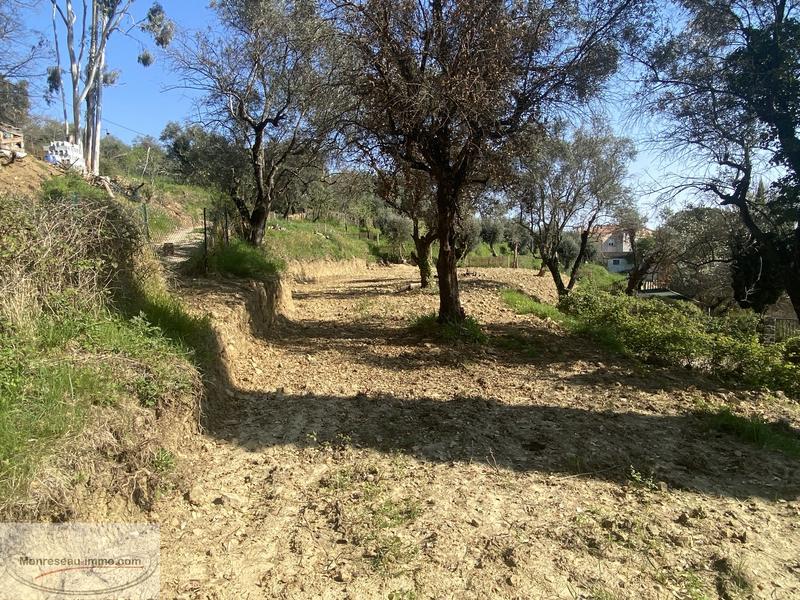 Terrain constructible - 1 880 m²