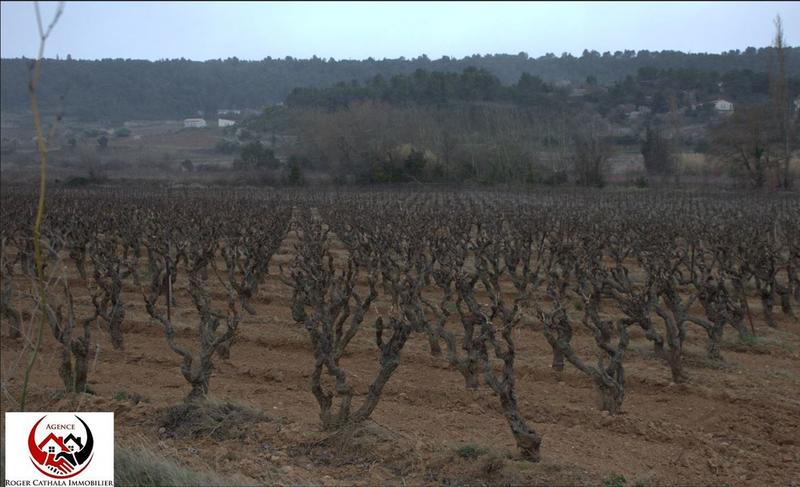 Terrain - 41 420 m²