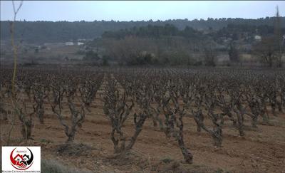 Terrain - 41 420 m²