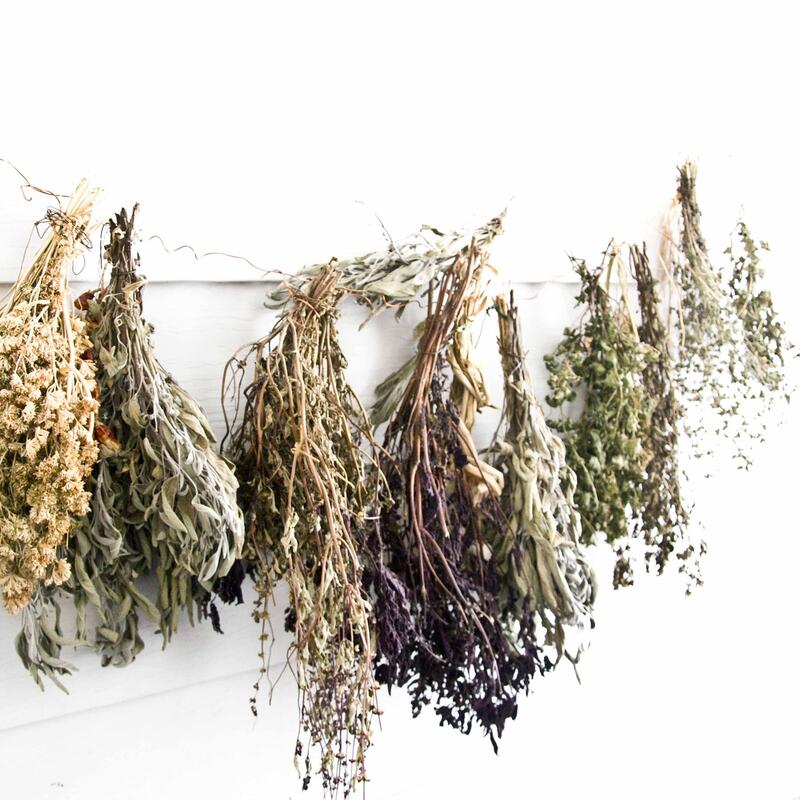 Mon herbier de plantes médicinales