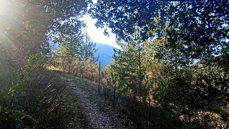 Terrain constructible - 835 m²