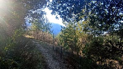 Terrain constructible - 835 m²