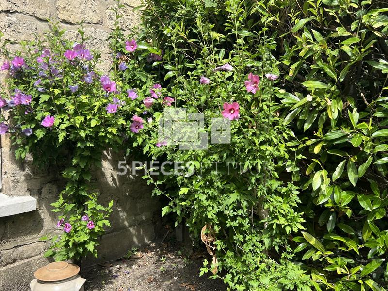 Maison - 200 m² - 7 pièces