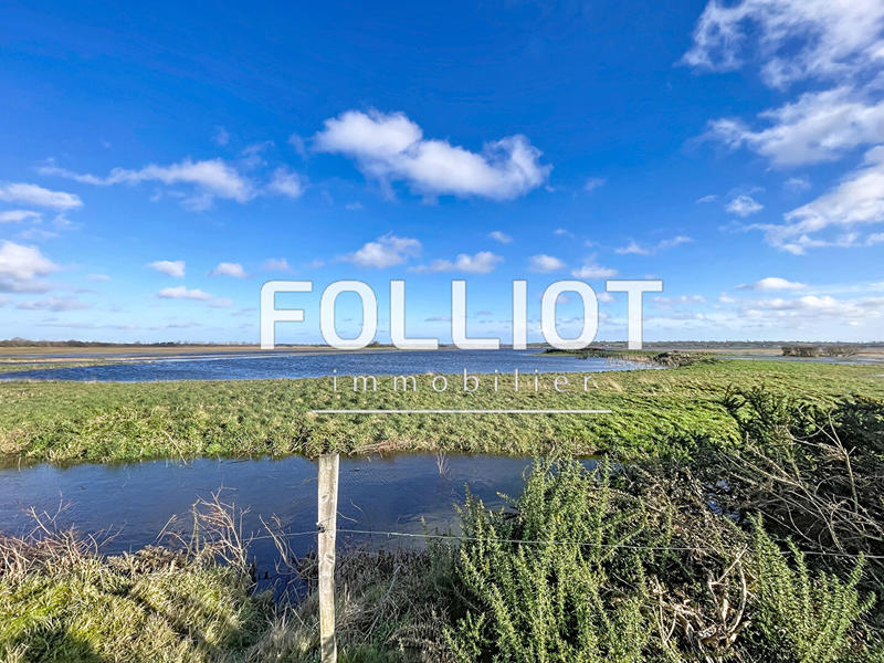 Terrain - 34 519 m²