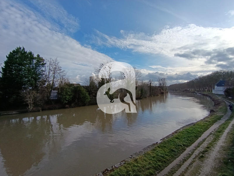 Appartement - 41 m² - 1 pièce