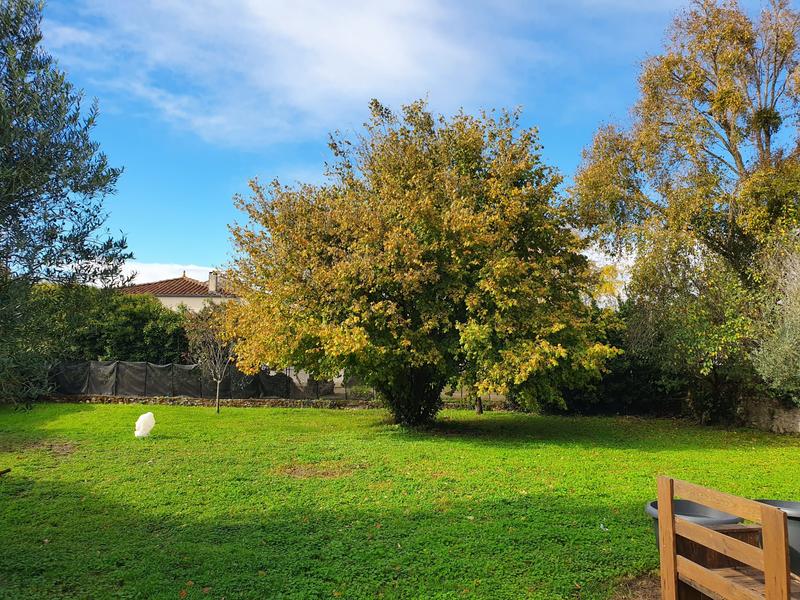 Maison - 300 m² - 11 pièces