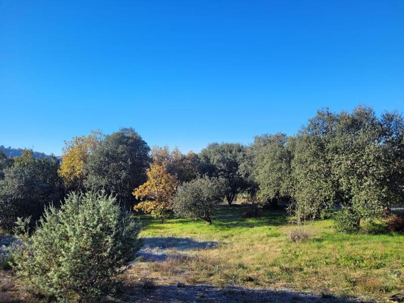 Terrain constructible - 1 000 m²