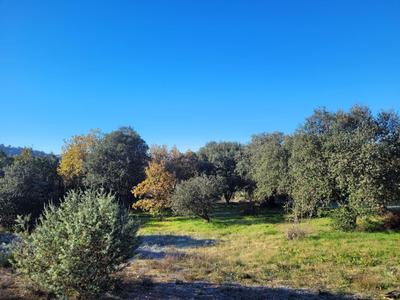 Terrain constructible - 1 000 m²