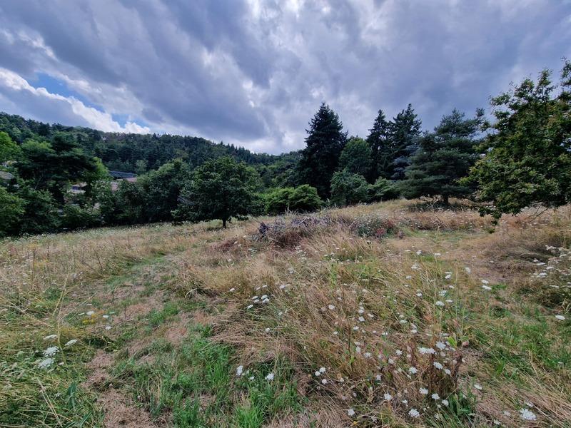 Terrain constructible - 1 271 m²
