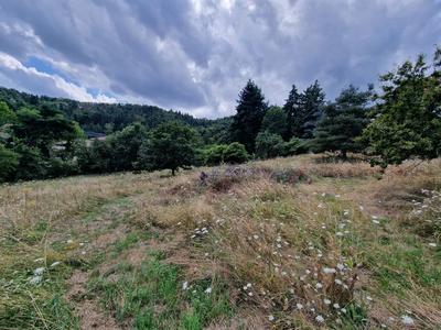 Terrain constructible - 1 271 m²