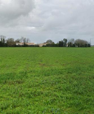 Terrain constructible - 435 m²