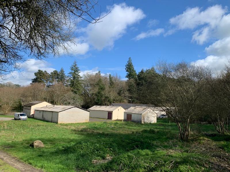 Local d'activité / Entrepôt - 4 269 m² - 1 pièce