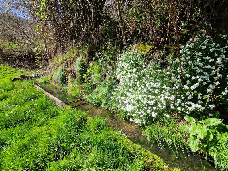 Propriété - 300 m² - 10 pièces