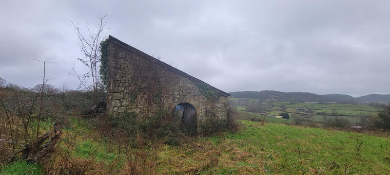 Terrain - 15 305 m²