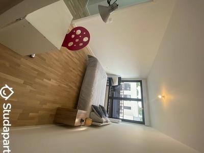 Chambre - 17 m² - 1 pièce