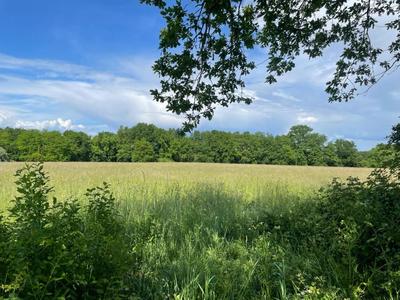 Terrain constructible - 1 000 m²