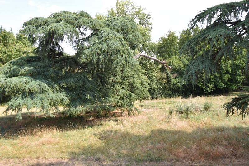 Appartement - 77 m² - 4 pièces