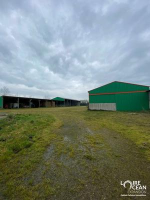 Entrepôt - 3 600 m²