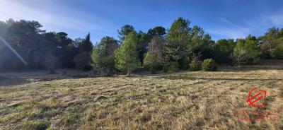 Terrain - 4 500 m²
