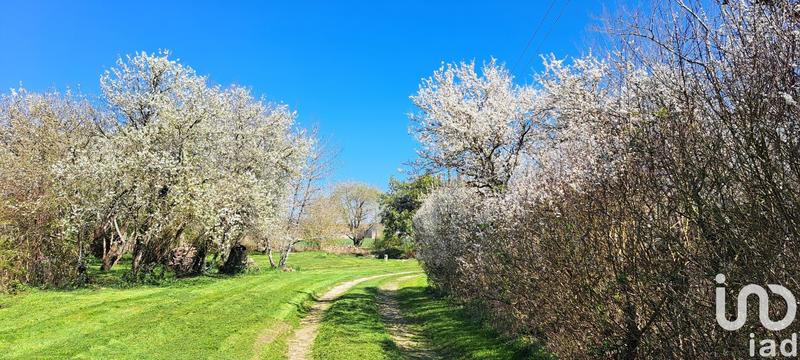 Maison - 66 m² - 2 pièces