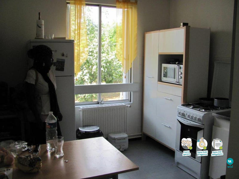 Appartement - 55 m² - 2 pièces