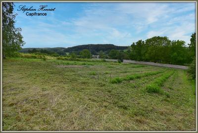 Terrain constructible - 4 770 m²
