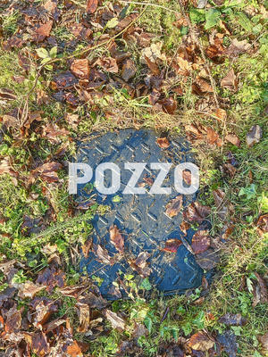 Terrain - 10 984 m²