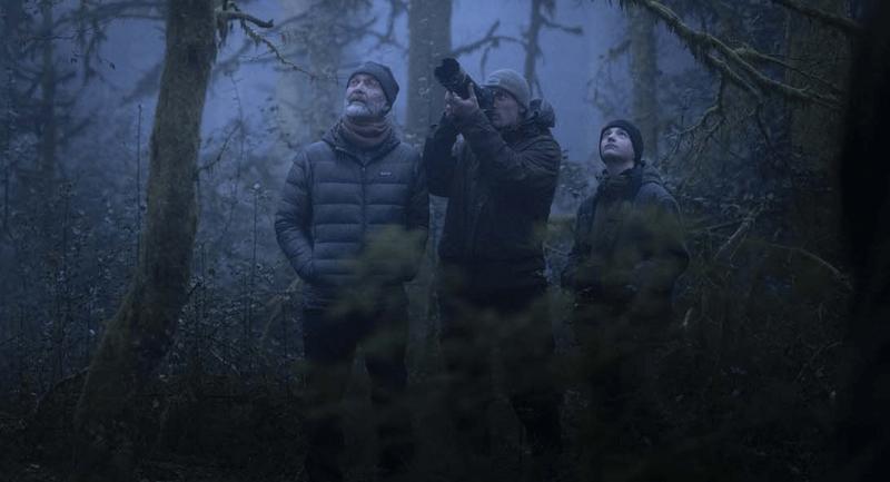 Film - le chant des forêts