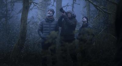 Film - le chant des forêts