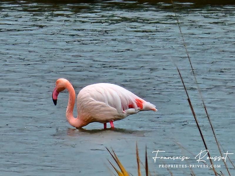 Appartement - 27 m² - 1 pièce