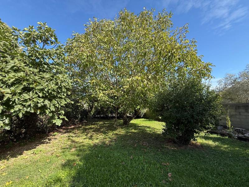 Maison de ville - 219 m² - 6 pièces