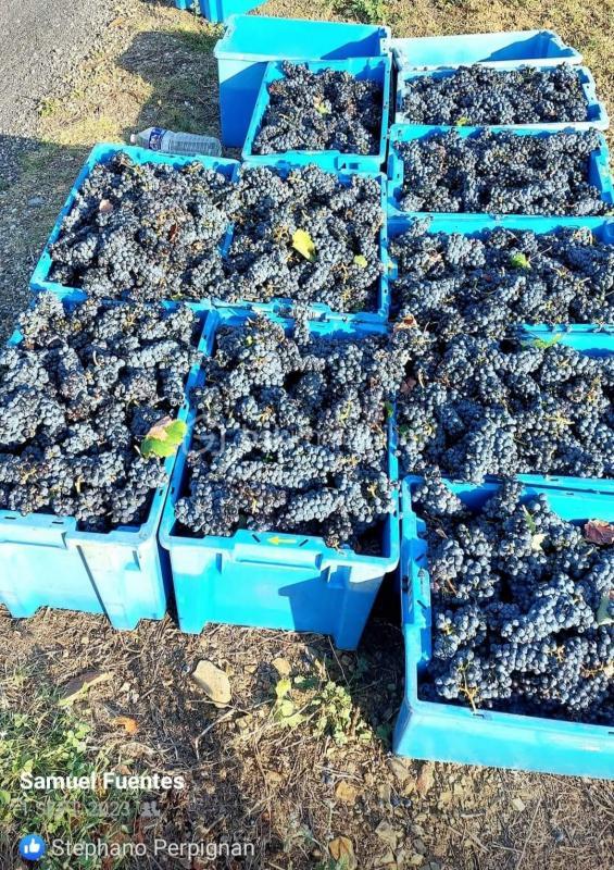 Terrain - 47 000 m²