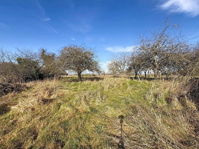 Maison traditionnelle - 81 m² - 4 pièces