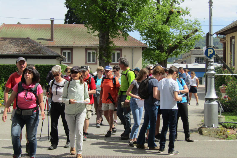Club Vosgien : Marche d'orientation