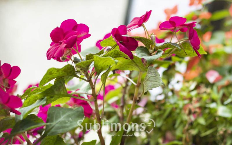 Local commercial - 160 m² - 6 pièces