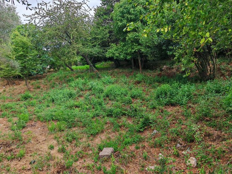 Terrain - 1 027 m²