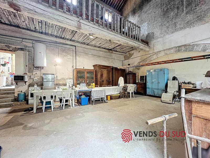 Viager - Demeure - 223 m² - 6 pièces