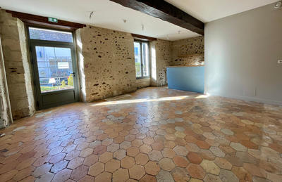 Hôtel particulier - 452 m² - 19 pièces