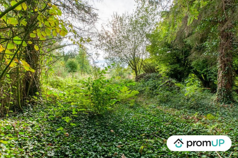 Terrain de loisirs - 1 600 m²