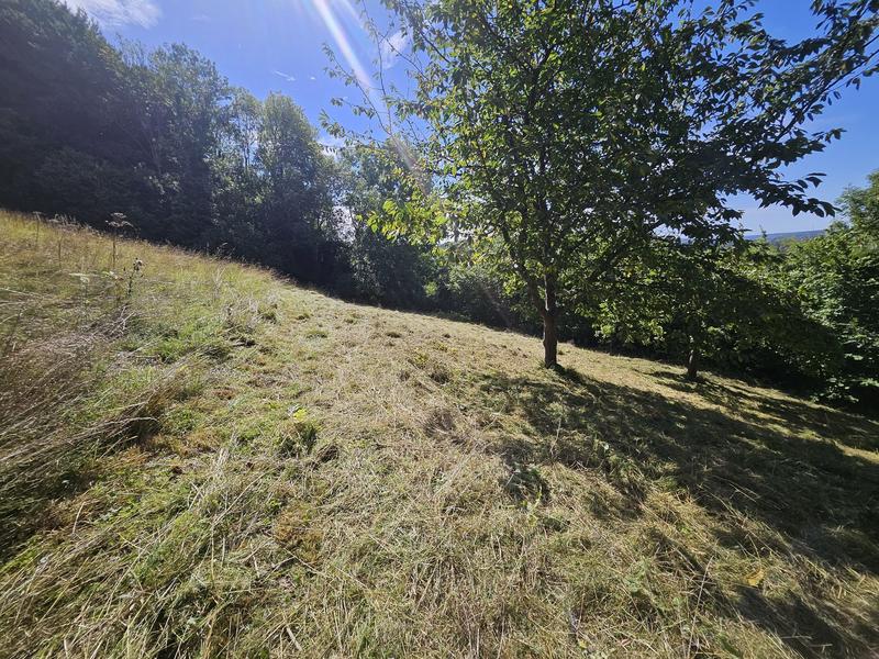 Terrain agricole - 3 547 m²