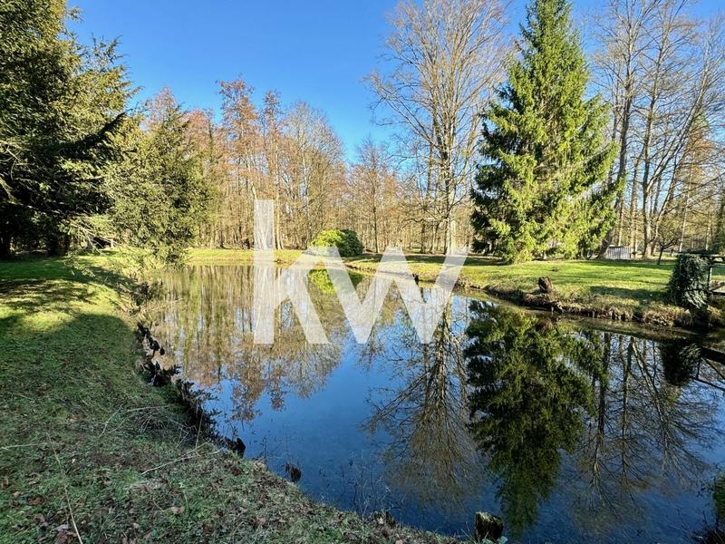 Maison - 700 m² - 23 pièces